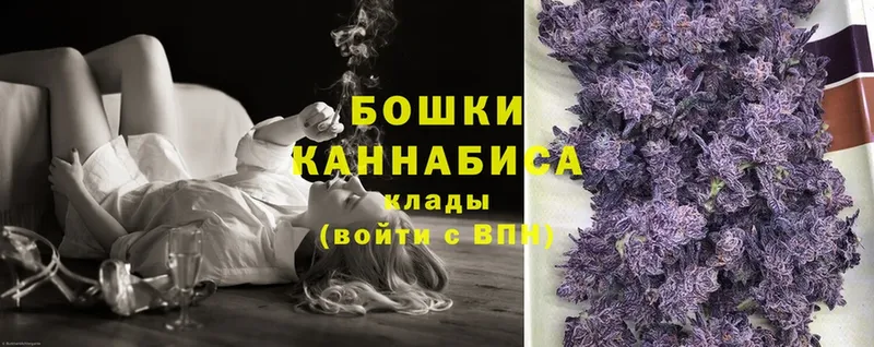 Конопля SATIVA & INDICA  купить   Каменка 